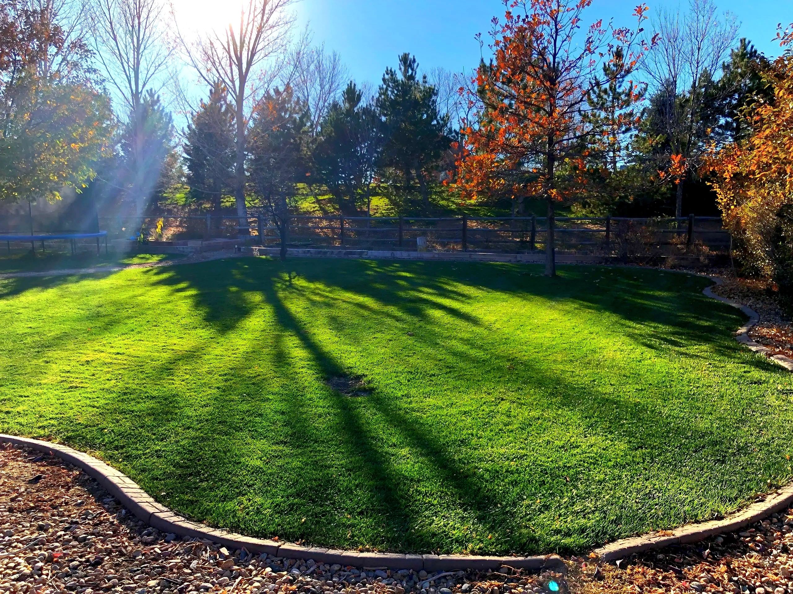 Scenic lawn with autumn trees and shadows