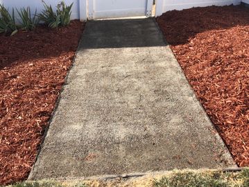 Concrete walkway mulch landscaping